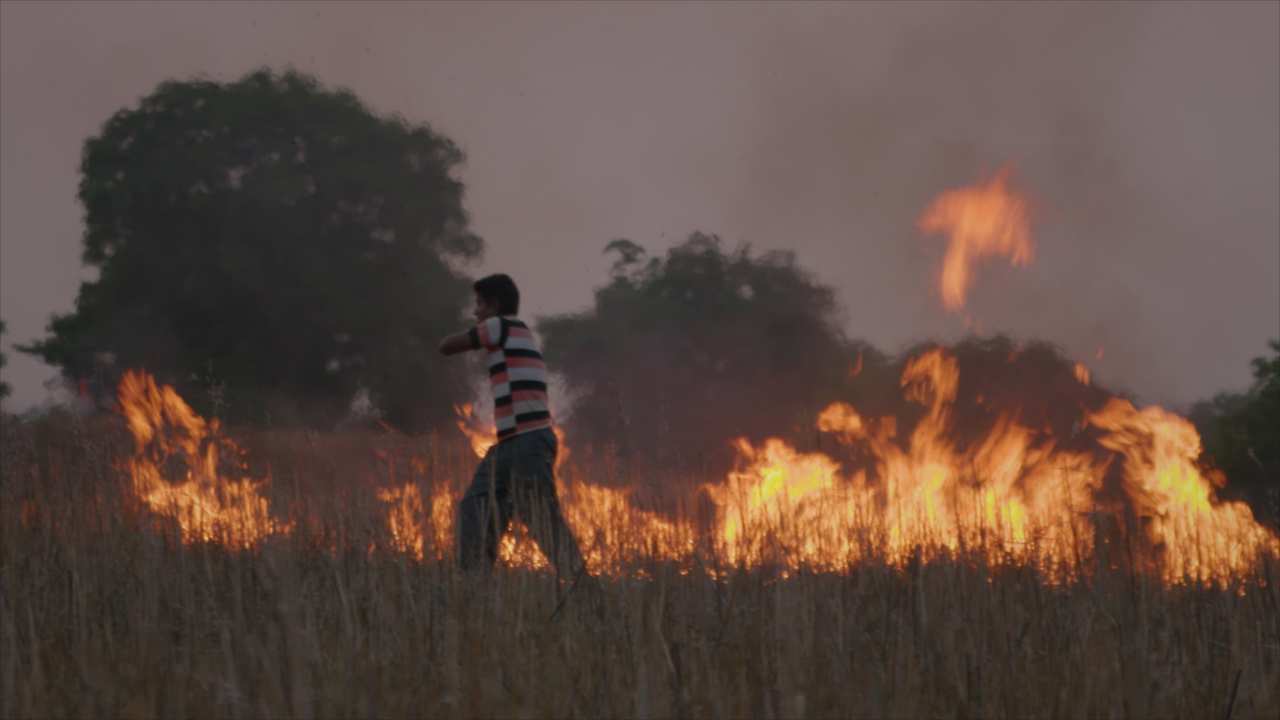 a person walking through a burning field